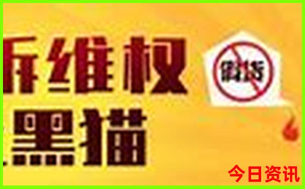 刚是什么生肖